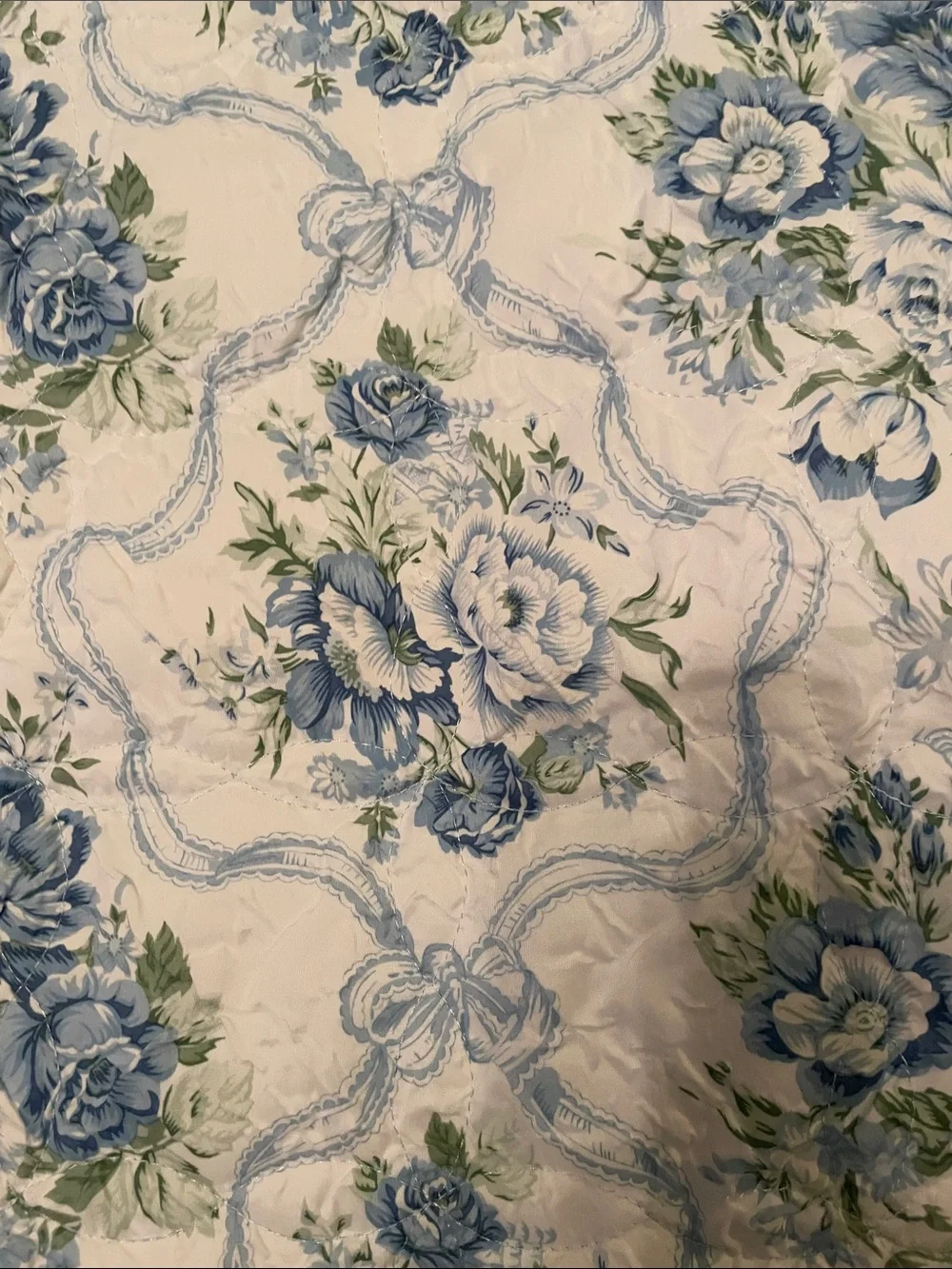 Shabby Chic Pillow Shams (2) Standard Size by Paris Hilton